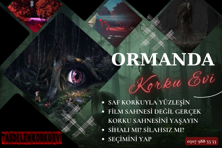 Ormanda Korku Evi Oyunu
