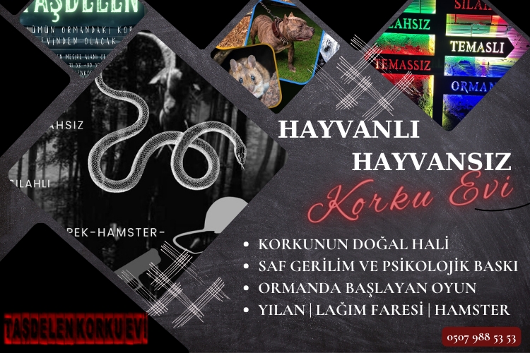 Hayvanlı ve Hayvansız Korku Evi Oyunu